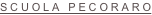 shapeimage_9_link_0